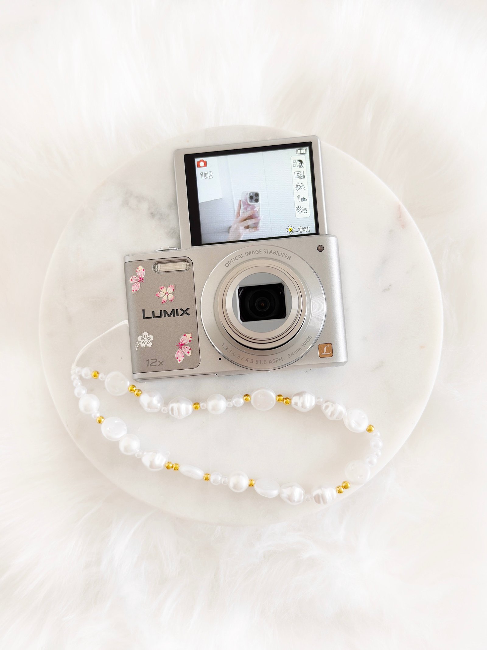 IMG_6624 Lumix DMC-TZ10 - Image 1