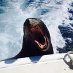 Canon a3400 digital camera - Image 6