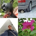 Used Digital Camera | Casio Exilim H15 Digital Camera | Complete Set - Image 7