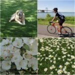 Used Digital Camera | Sony CyberShot W560 Digital Camera | Complete Set - Image 6