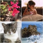 Used Digital Camera | Canon Powershot Elph 160 Digital Camera ⊹🖇️˚ ⋆ | Complete Set - Image 6